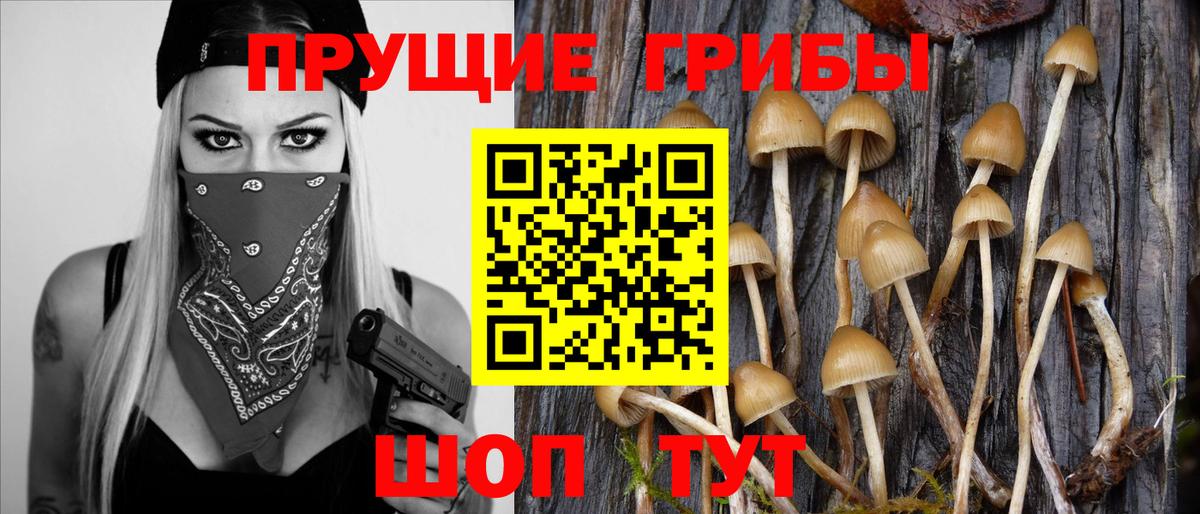 где найти наркотики  Вход с VPN  Советская Гавань  Псилоцибиновые грибы MAGIC MUSHROOMS 