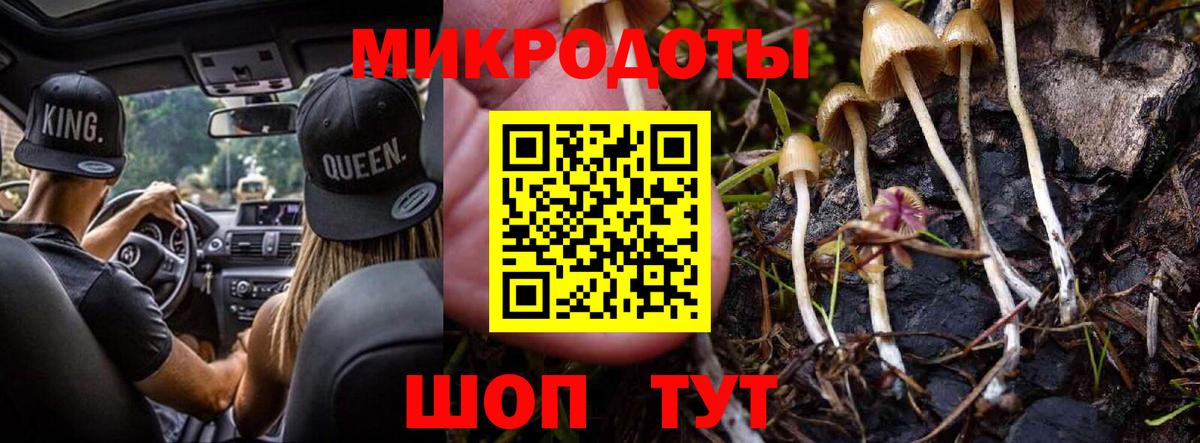 Галлюциногенные грибы Psilocybine cubensis Советская Гавань
